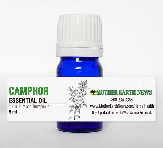 Camphor Essential Oil