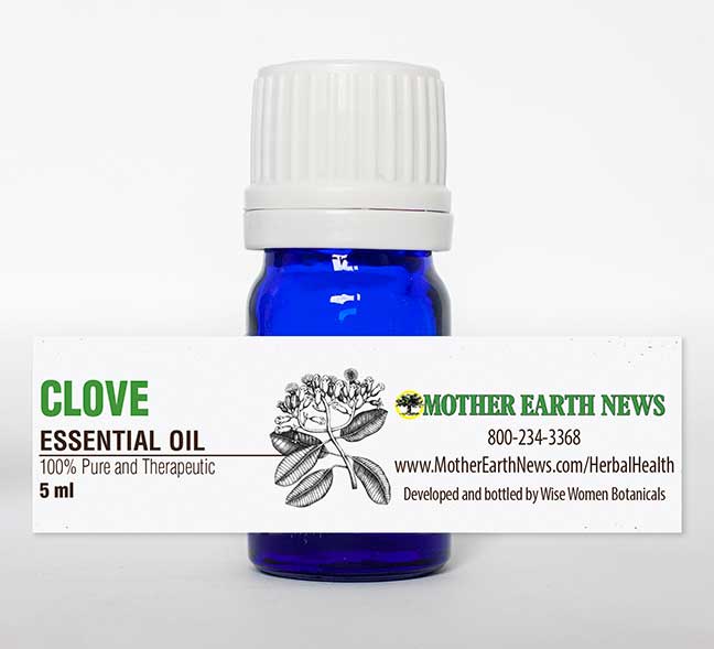Clove Essential Oil