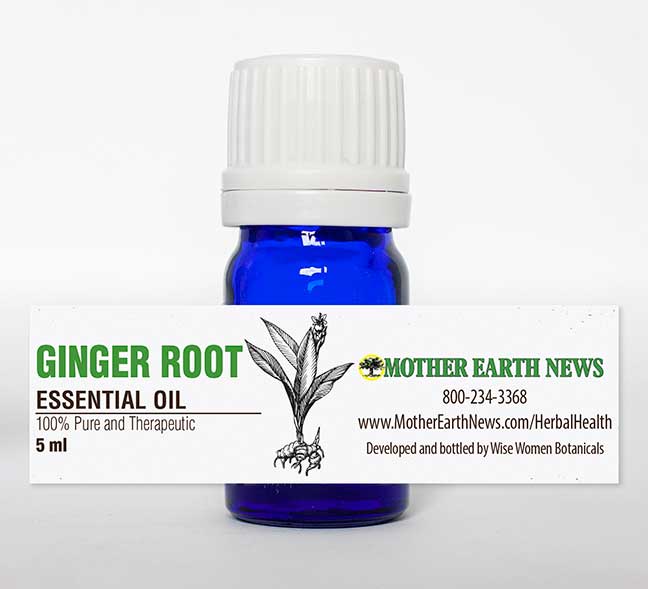 Ginger Root Essential Oil