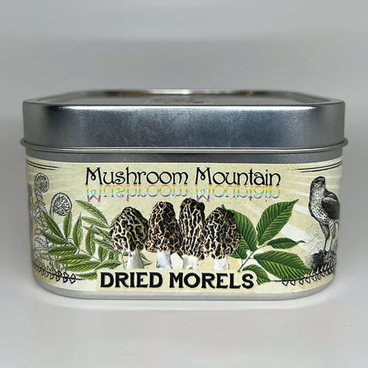 Dried Mushrooms, Morels