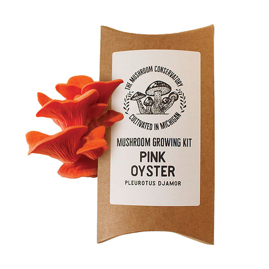 Pink Oyster Mushroom Growing Kit