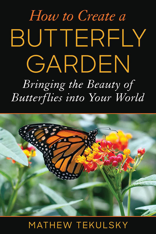 How To Create A Butterfly Garden