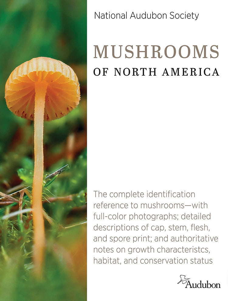 Mushrooms Of North America