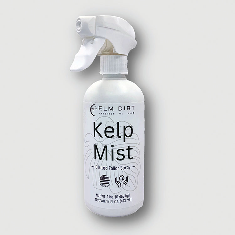 KELP MIST