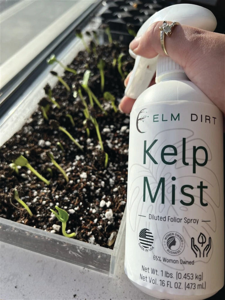 KELP MIST