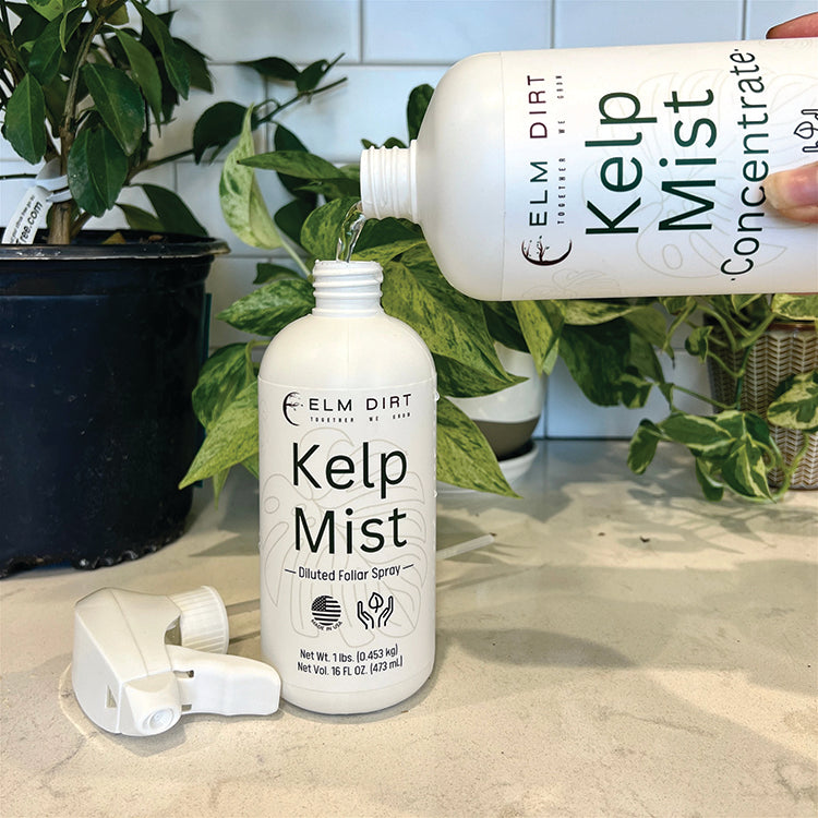 KELP MIST