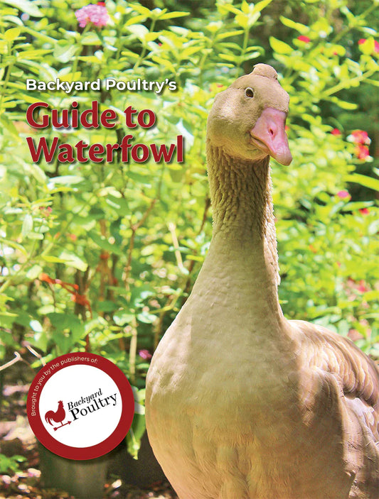Backyard Poultry's Guide to Waterfowl