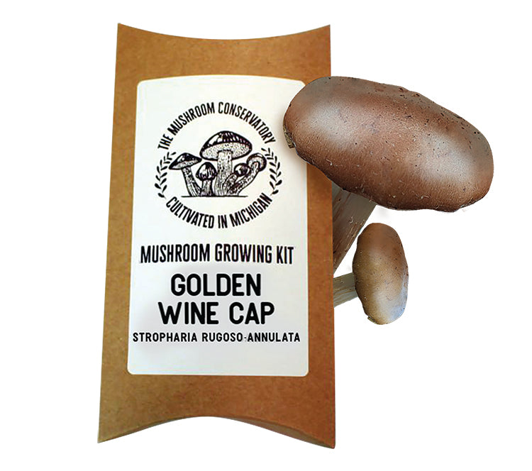 Wine Cap Mushroom Growing Kit