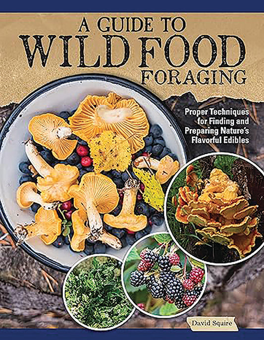 A Guide To Wild Food Foraging