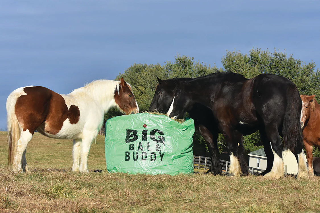 BIG BALE BUDDY