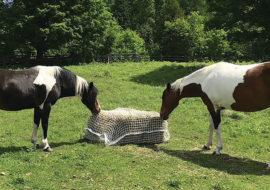 SLOW BALE BUDDY