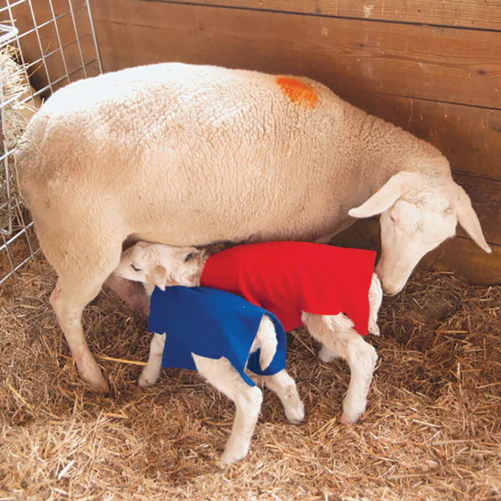Newborn Lamb & Kid Covers