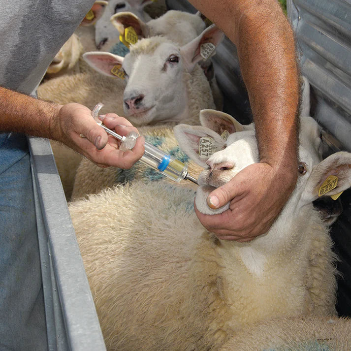 Small Flock Drencher