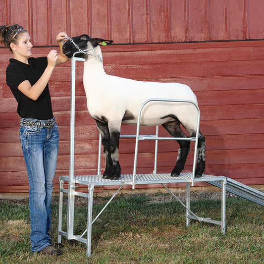 Trimming Stand Kit