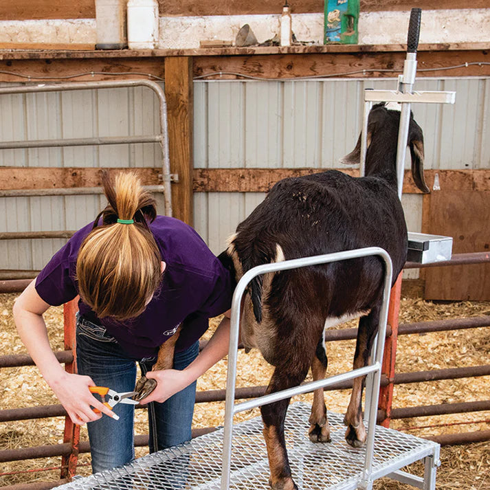 Milking Stand Kit