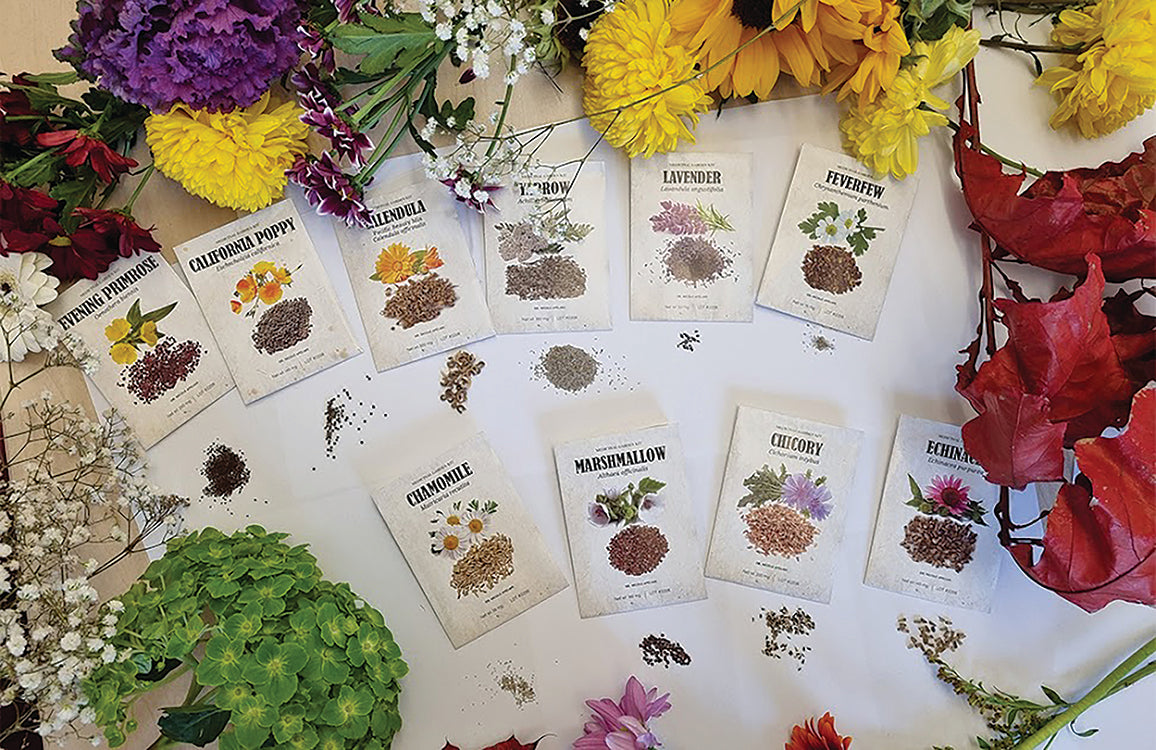 Medicinal Garden Kit