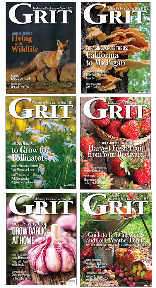 Grit Back Issue Bundle 2022