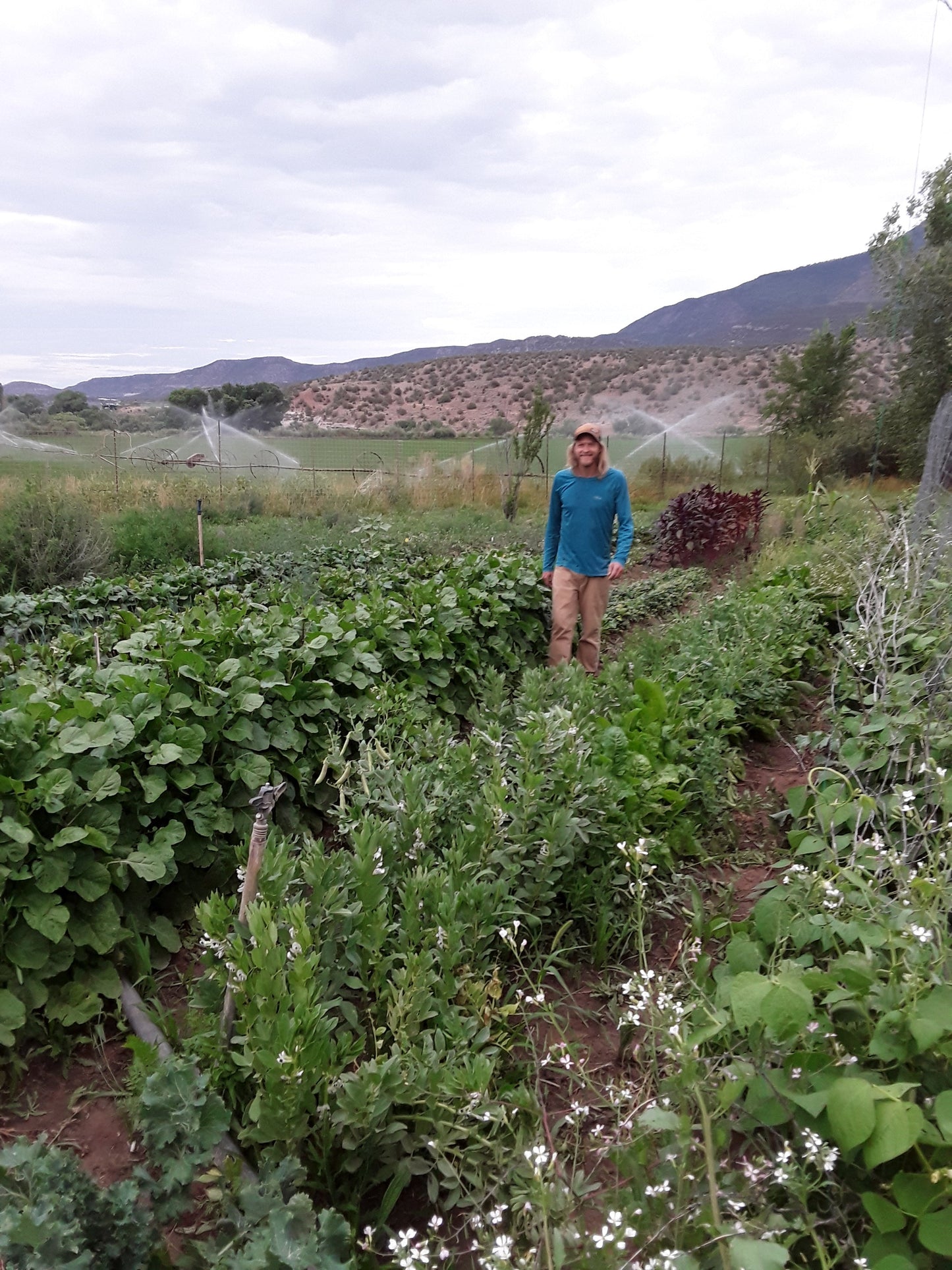 Small Seed CSA Share - 25 Varieties Curated for Your Area!
