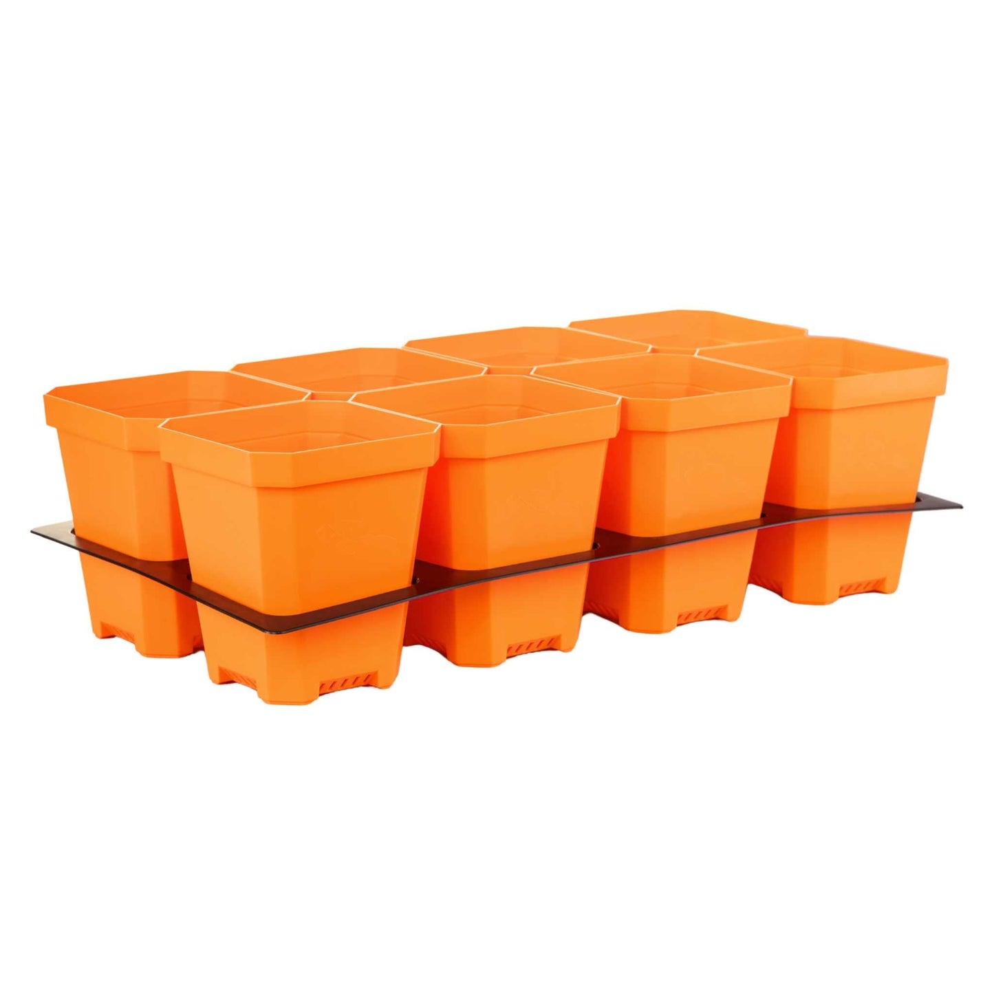 5" Nursery Pots with Insert Tray