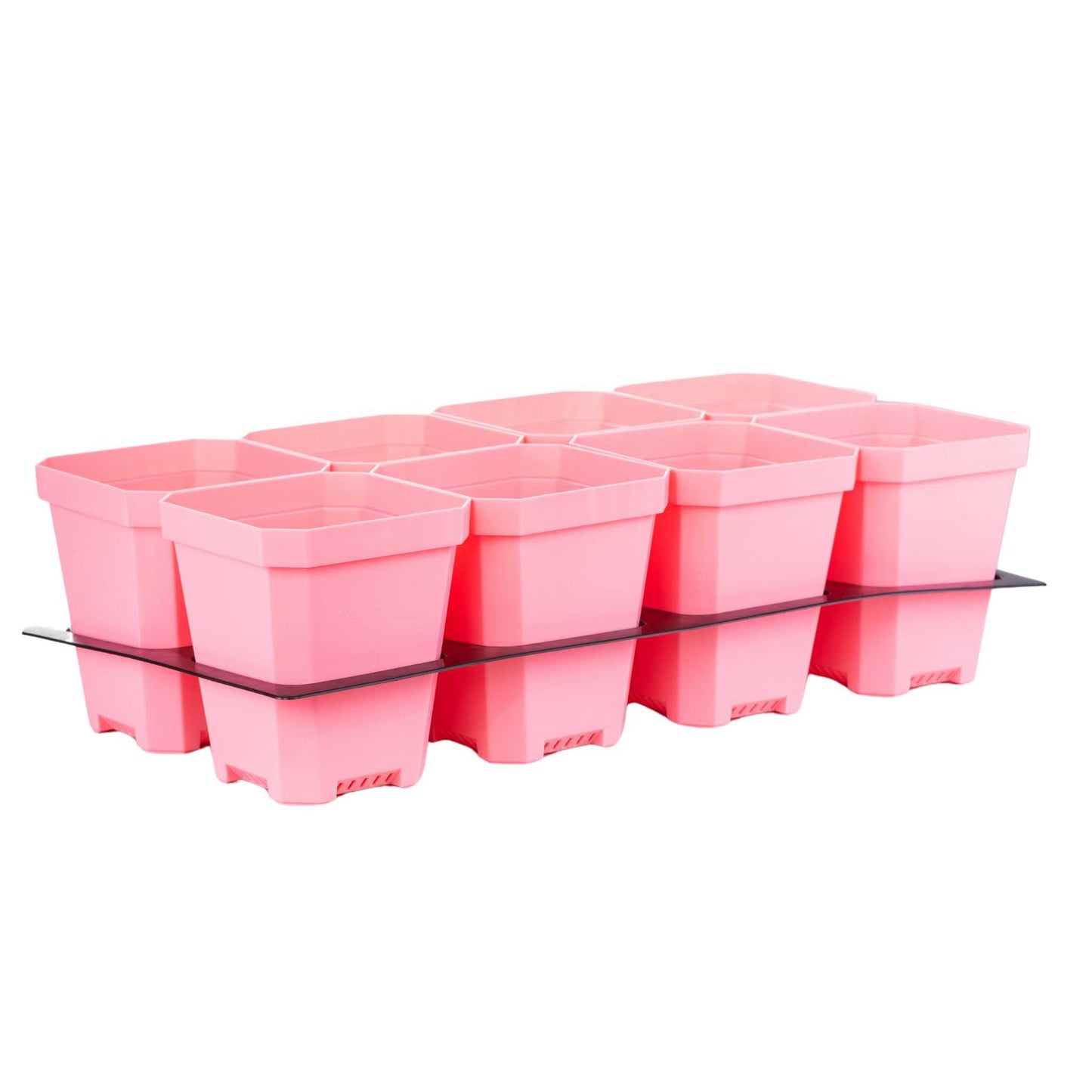 5" Nursery Pots with Insert Tray