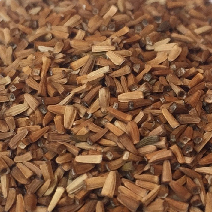 Chamomile, Dyer's (Anthemis tinctora)