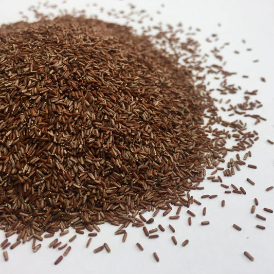 Vervain, Blue (Verbena hastata)