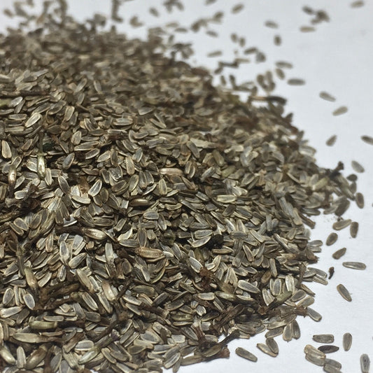 Yarrow, Official (Achillea millefolium)