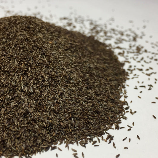 Mugwort, Common (Artemisia vulgaris)