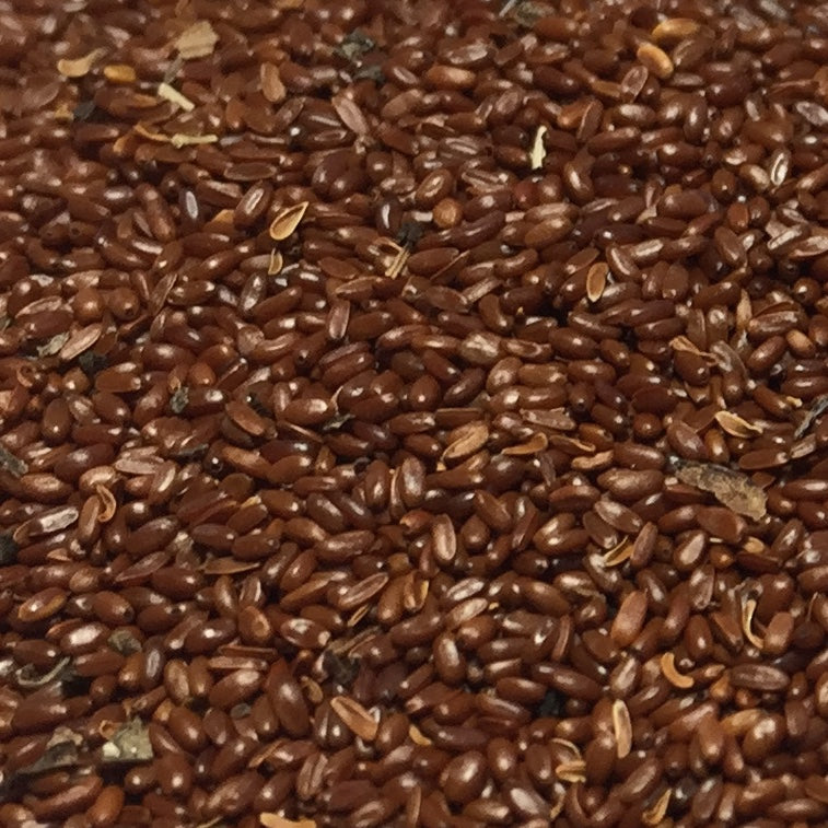 Codonopsis (Codonopsis pilosula)