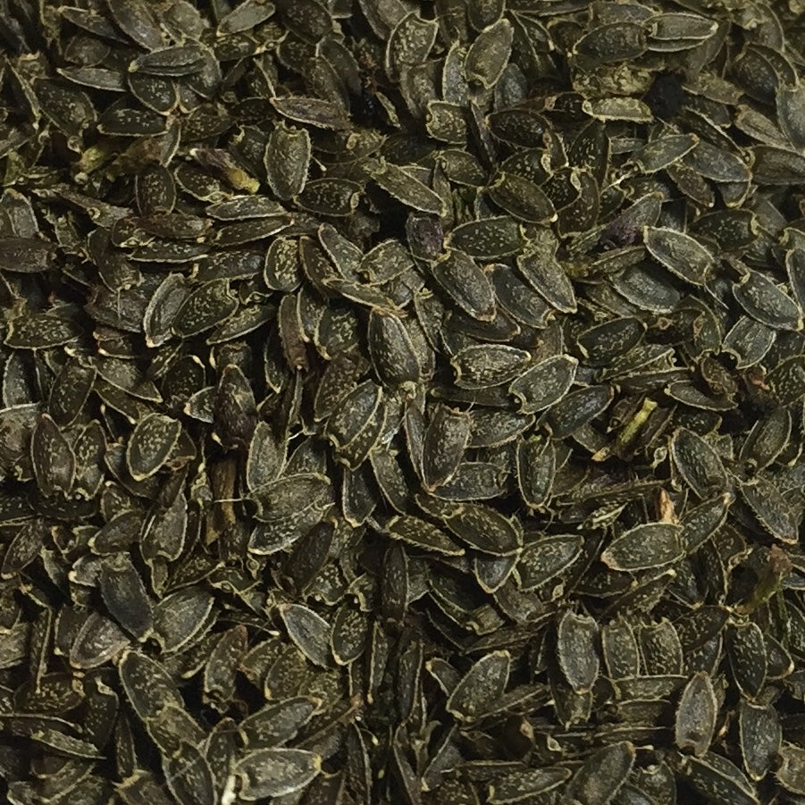 Spilanthes, Official (Acmella oleracea)