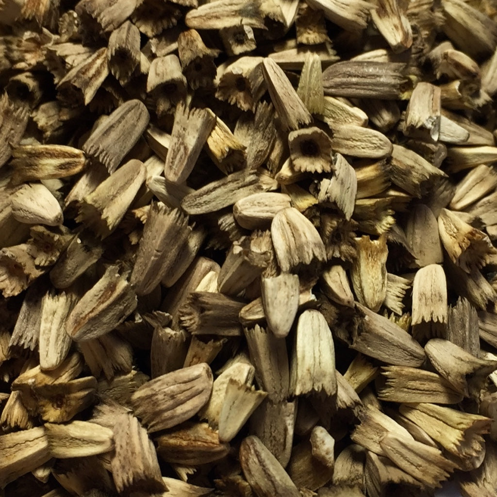 Echinacea purpurea (Echinacea purpurea)