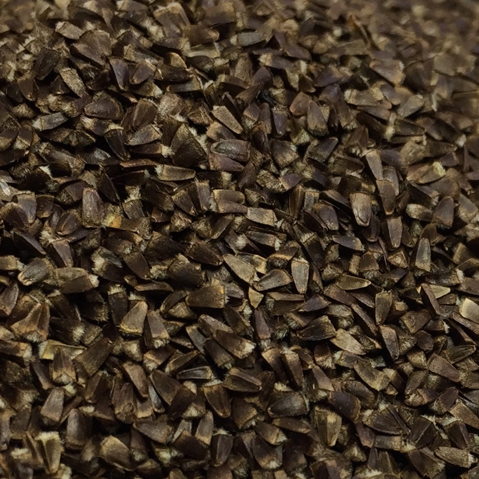 Motherwort, Official (Leonurus cardiaca)