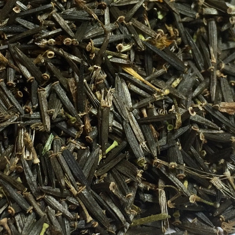 Arnica, Meadow (Arnica chamissonis)