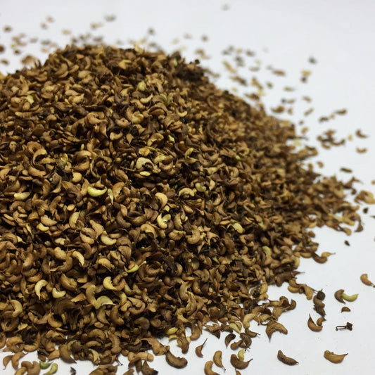 Meadowsweet (Filipendula ulmaria)