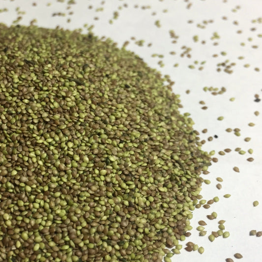 Nettles, Stinging (Urtica dioica)