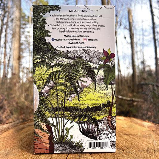 Lions Mane Pom Pom Mushroom Fruiting Kit