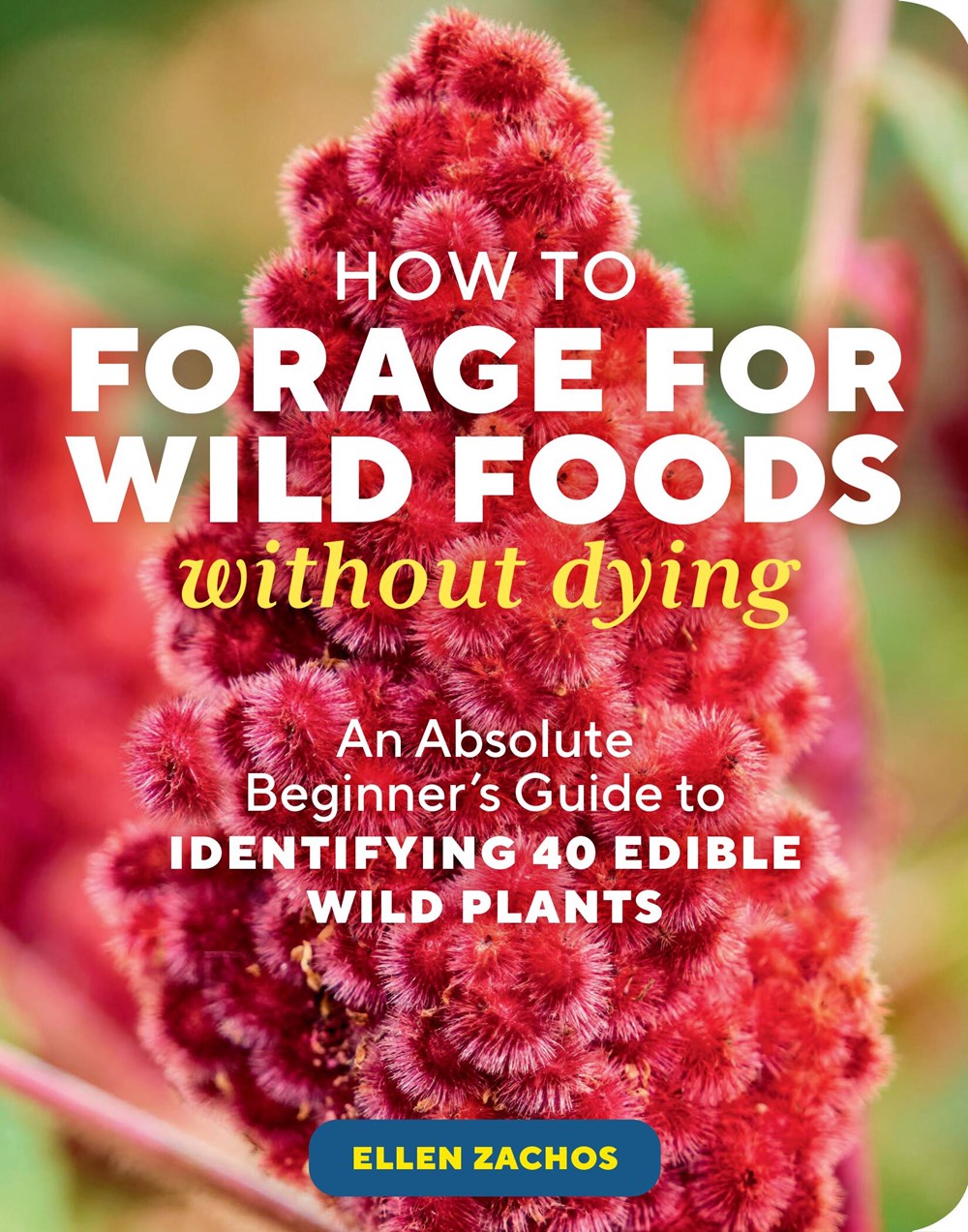 How To Forage For Foods Without Dying