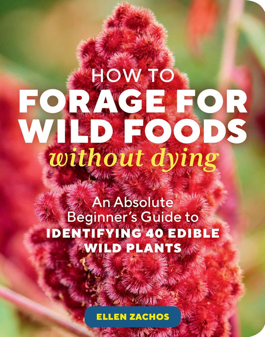 How To Forage For Foods Without Dying