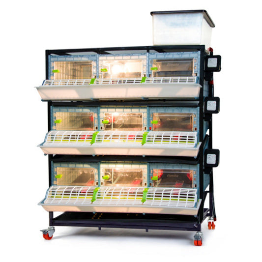 Chick Brooder - 3 Layer H: 9.5"