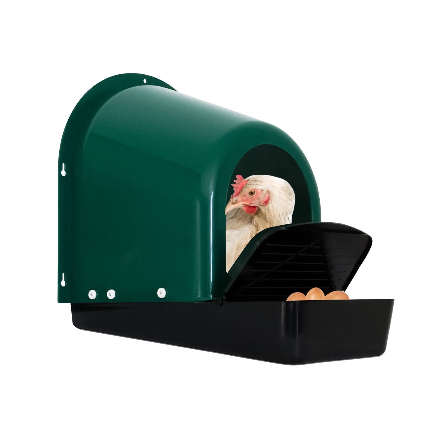 EggHouse Roll-Out Nesting Box Wall Mount up to 10 Birds