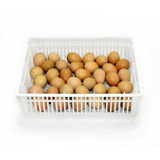 Egg Basket - 35 Eggs -(CS35Y)
