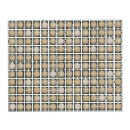 Egg Setter Tray - Partridge - 154 Eggs