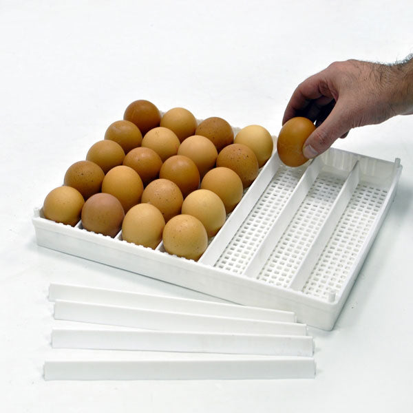 Flexy35 Egg Setter Tray with Separators