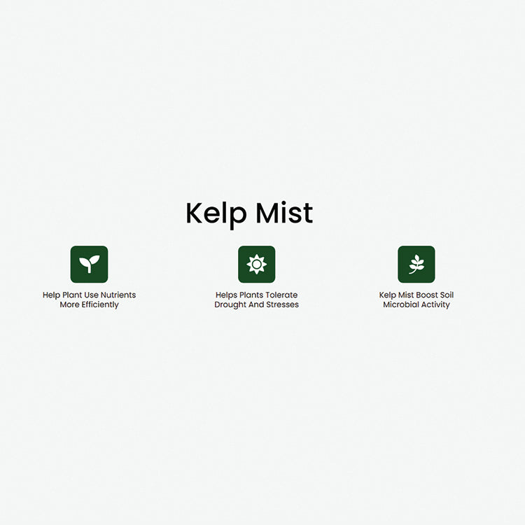 KELP MIST