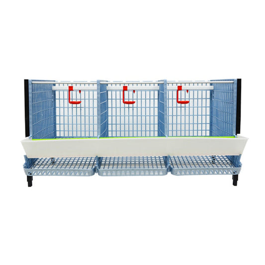 Partridge Cage - Layer addition