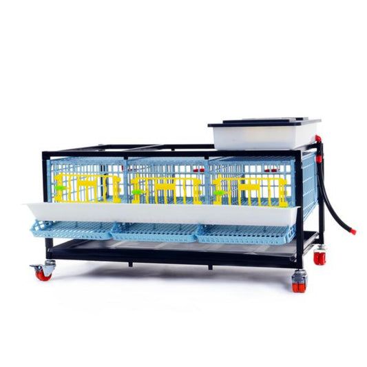 Quail Cage - 1 Layer