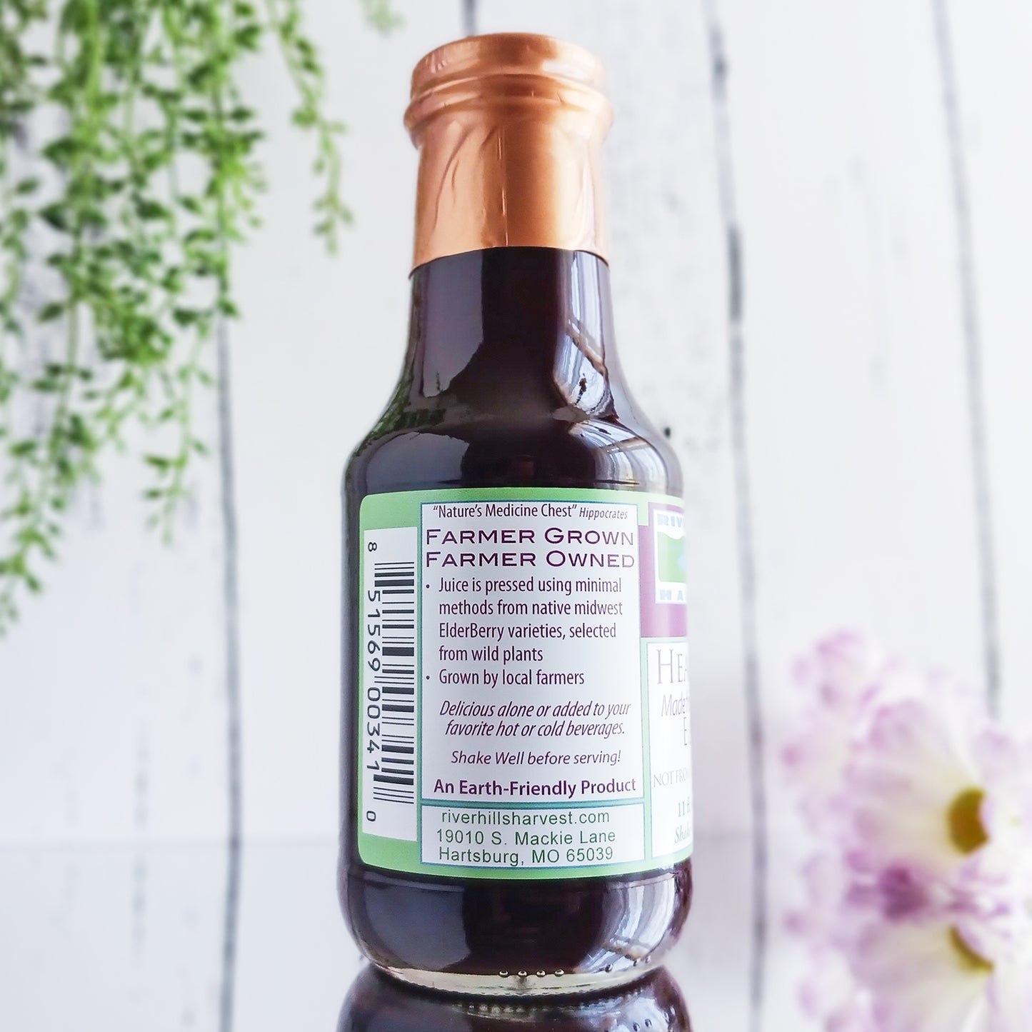 American Elderberry Cordial
