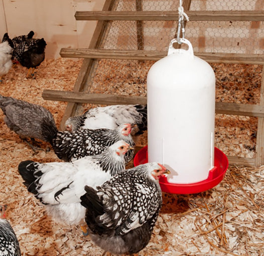 Top Fill Poultry Waterers, Without Legs, Red, 1.5 Gal