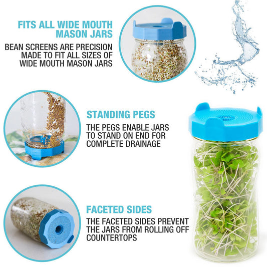 BASIC BEAN SPROUTING SET