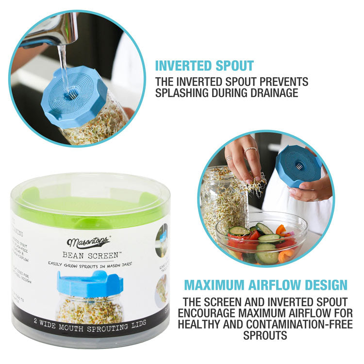 BASIC BEAN SPROUTING SET